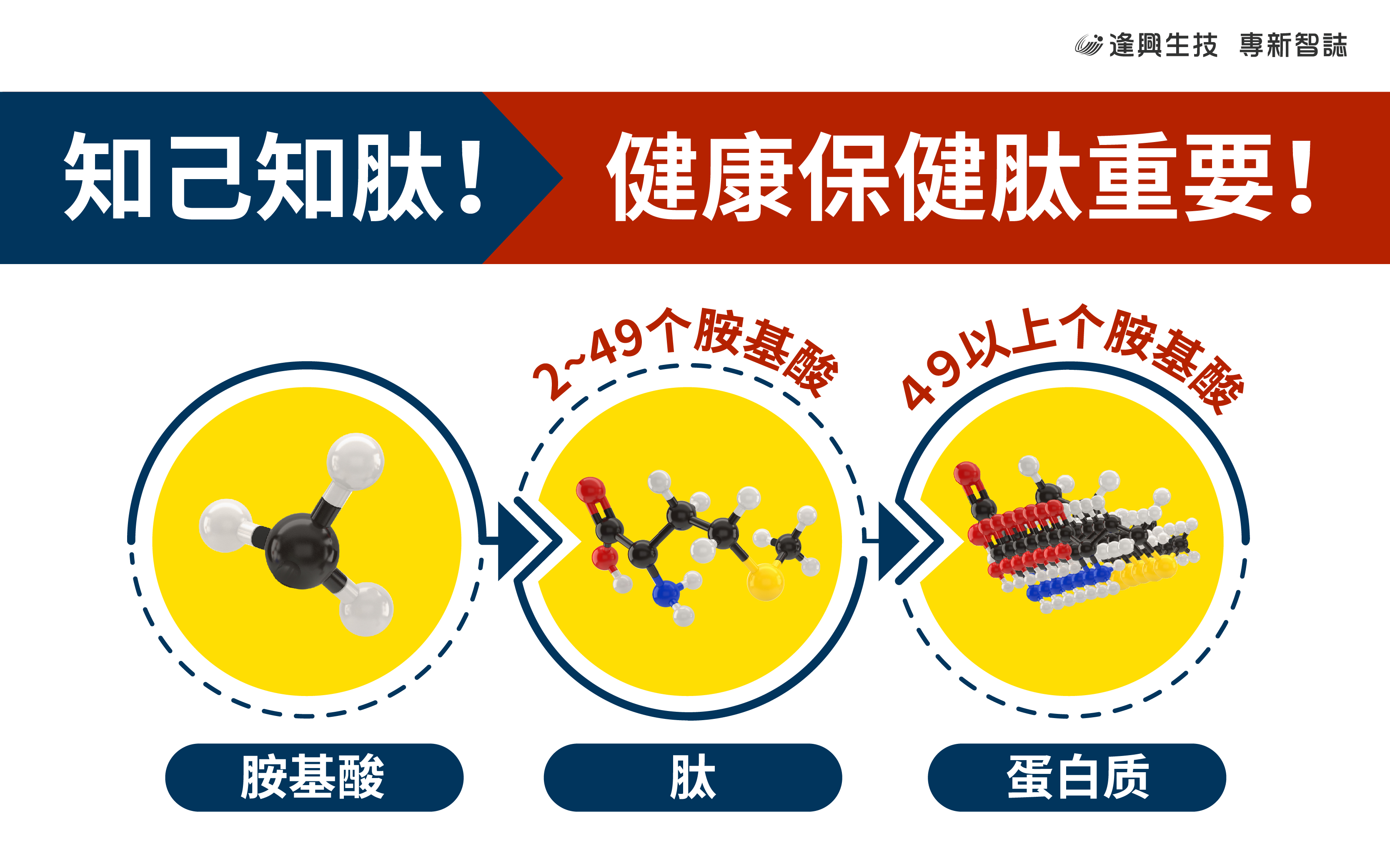 0406_vol.0021-肽_智庫肽內(nèi)文圖_簡_市場-01