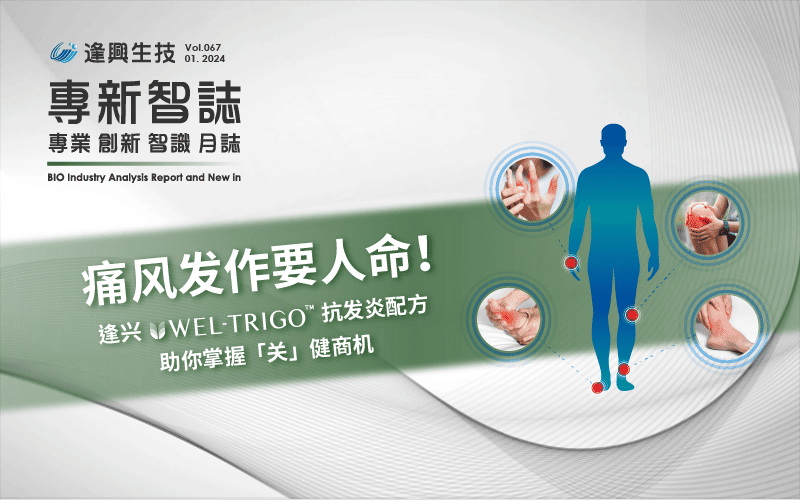 逢興百科專新智志 Vol67 痛風(fēng)發(fā)作要人命！ 逢興Wel-trigoTM抗發(fā)炎配方助你掌握「關(guān)」健商機(jī)